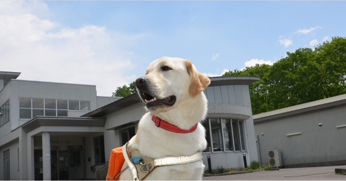 東日本盲導犬協会