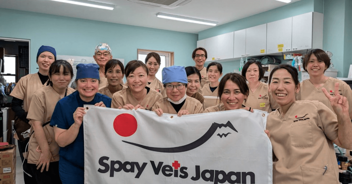 一般社団法人 Spay Vets Japan