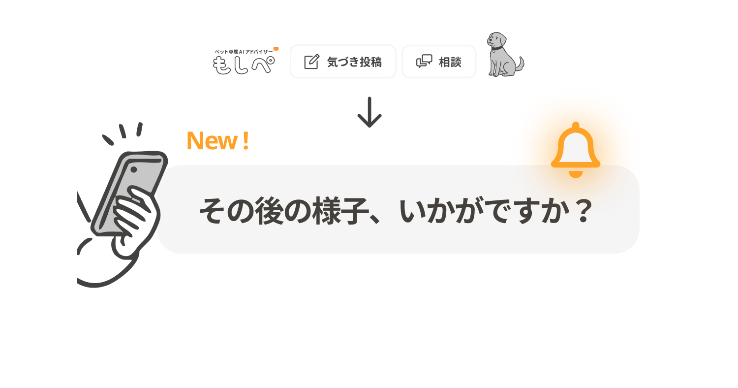 「その後の様子」機能とは？画像