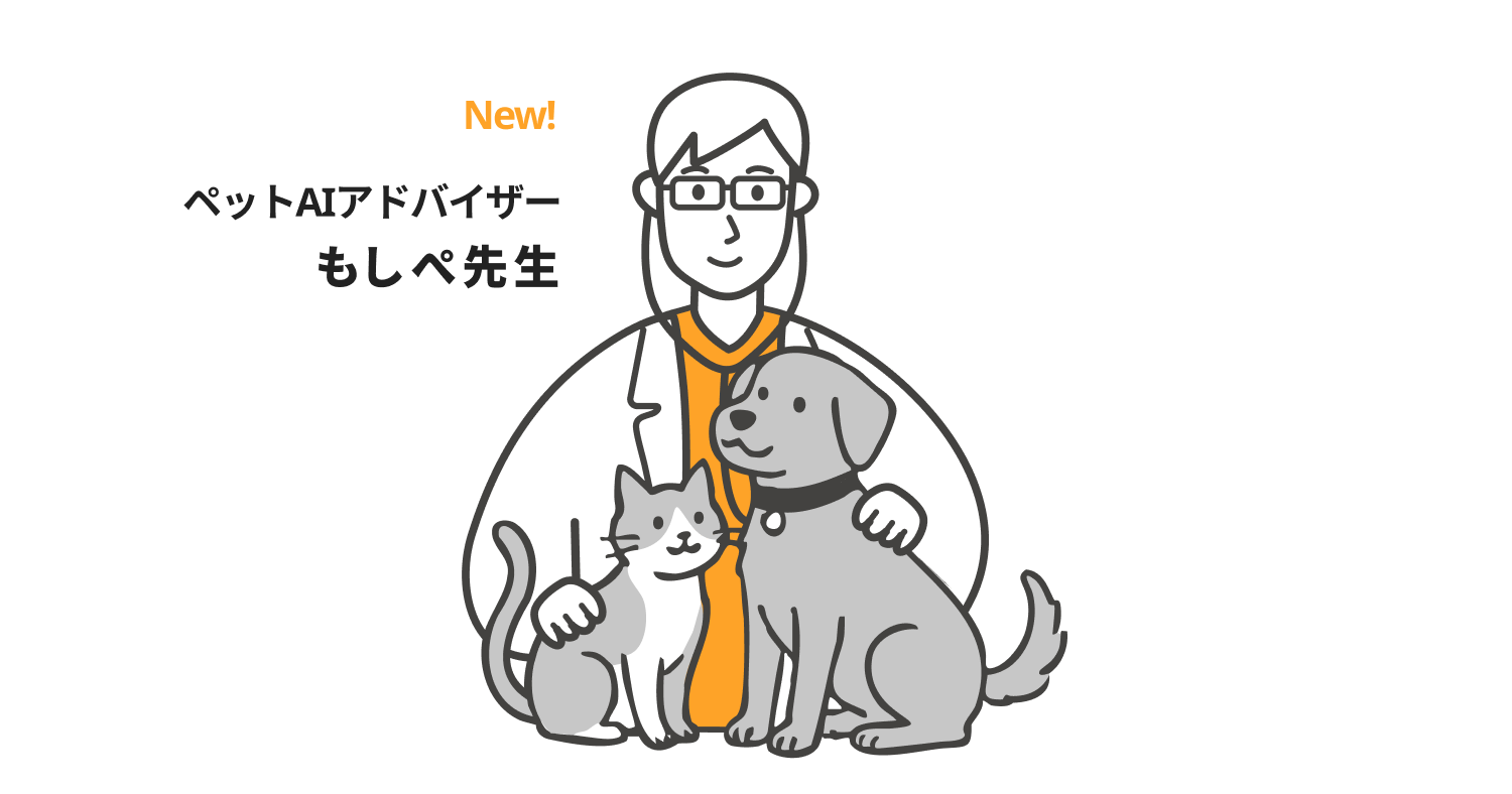 「もしぺ先生」とは？画像