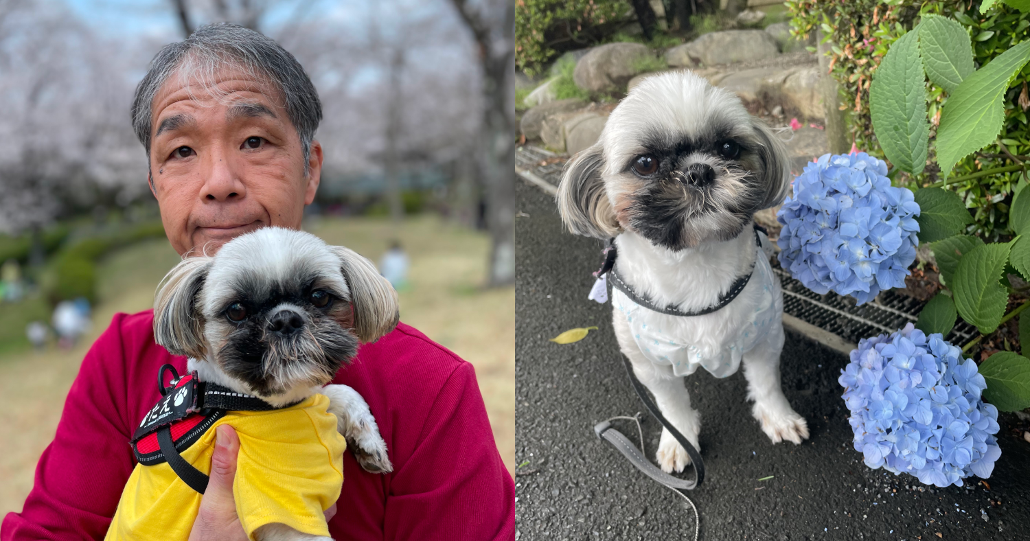 山田と愛犬のたえちゃん